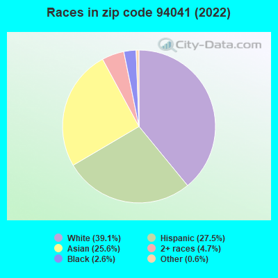 Races in zip code 94041 (2021)