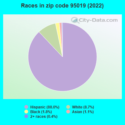 Races in zip code 95019 (2022)