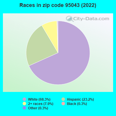 Races in zip code 95043 (2022)