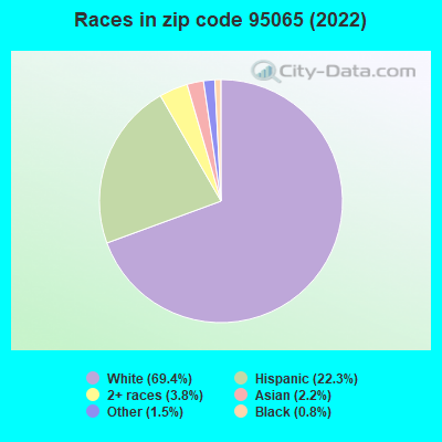 Races in zip code 95065 (2019)