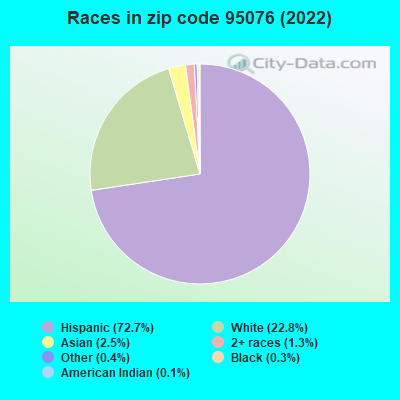 Races in zip code 95076 (2019)