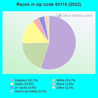 Races in zip code 95110 (2021)