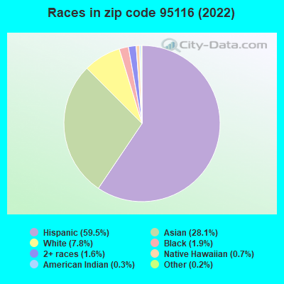 Races in zip code 95116 (2021)