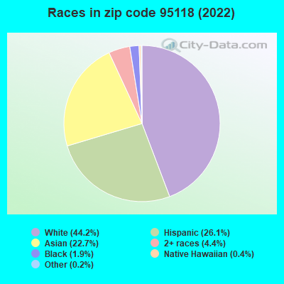 Races in zip code 95118 (2019)