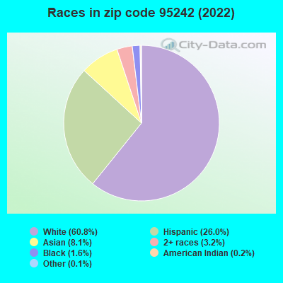 Races in zip code 95242 (2021)