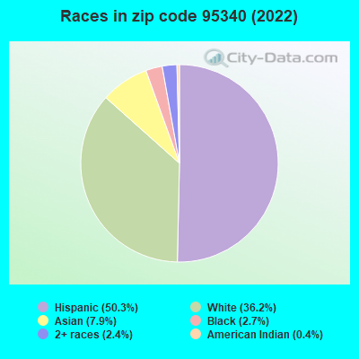Races in zip code 95340 (2019)