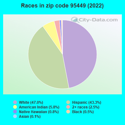 Races in zip code 95449 (2022)