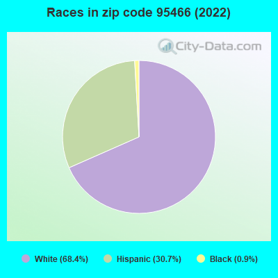 Races in zip code 95466 (2022)