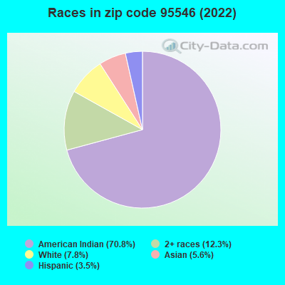 Races in zip code 95546 (2022)