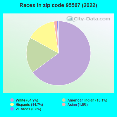 Races in zip code 95567 (2019)