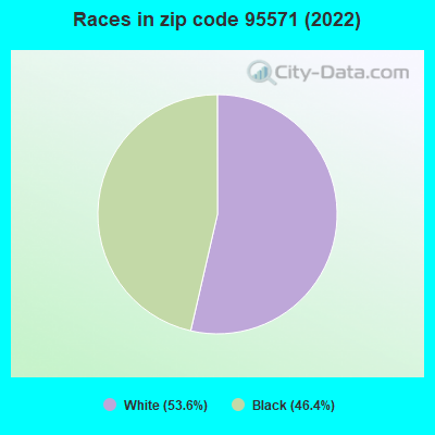 Races in zip code 95571 (2019)