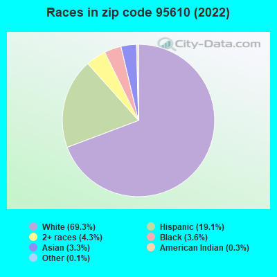 Races in zip code 95610 (2021)