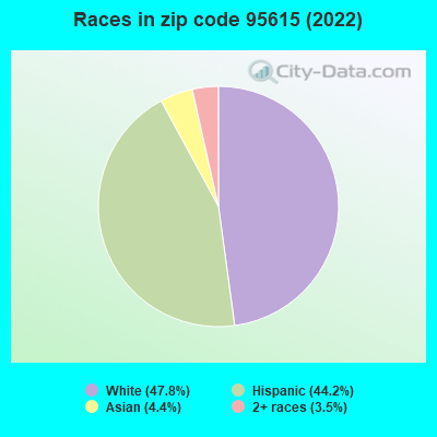 Races in zip code 95615 (2022)