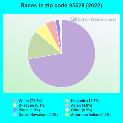 Races in zip code 95628 (2021)