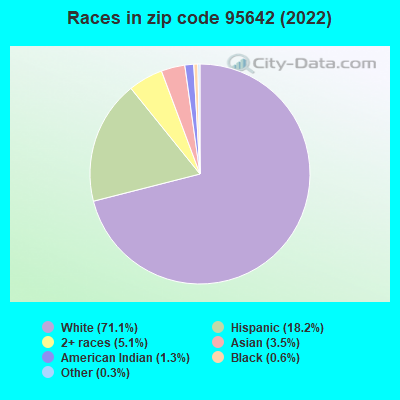 Races in zip code 95642 (2019)