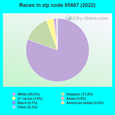 Races in zip code 95667 (2019)