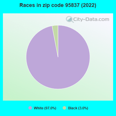 Races in zip code 95837 (2022)