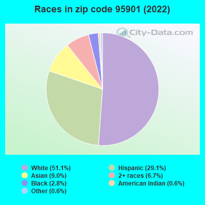 Races in zip code 95901 (2019)