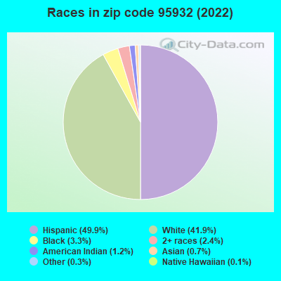 Races in zip code 95932 (2019)