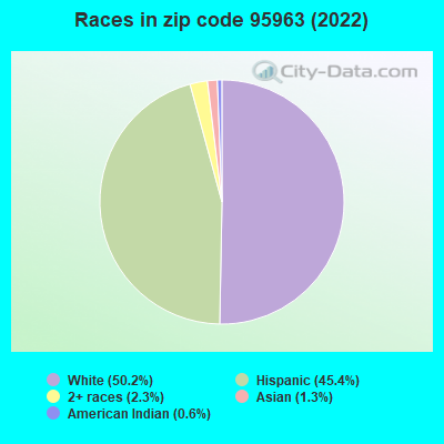 Races in zip code 95963 (2021)