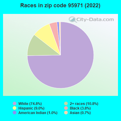 Races in zip code 95971 (2021)