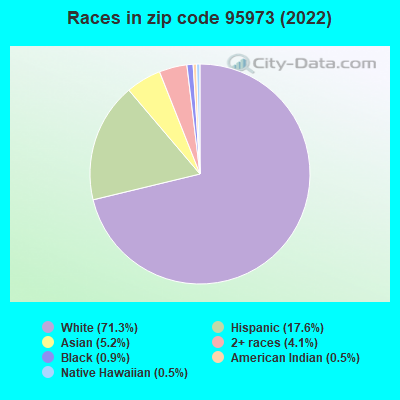 Races in zip code 95973 (2019)