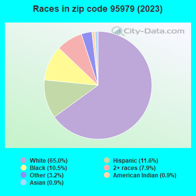 Races in zip code 95979 (2021)
