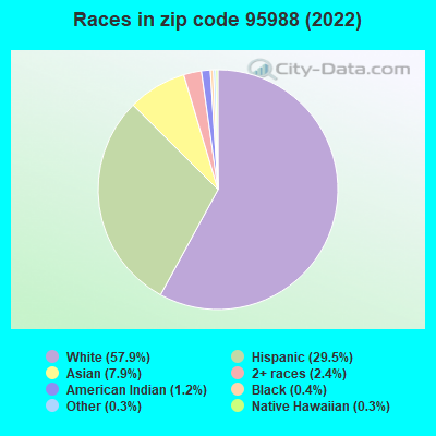 Races in zip code 95988 (2019)