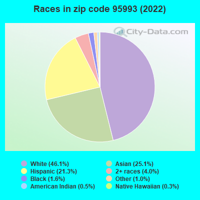 Races in zip code 95993 (2019)
