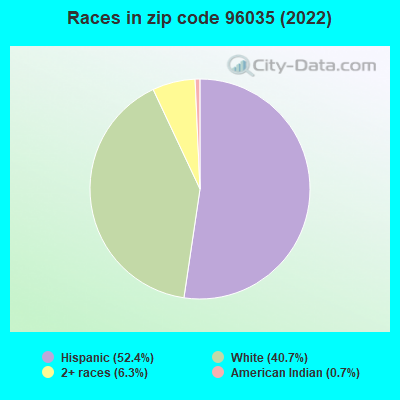 Races in zip code 96035 (2019)