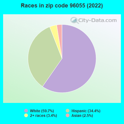 Races in zip code 96055 (2019)