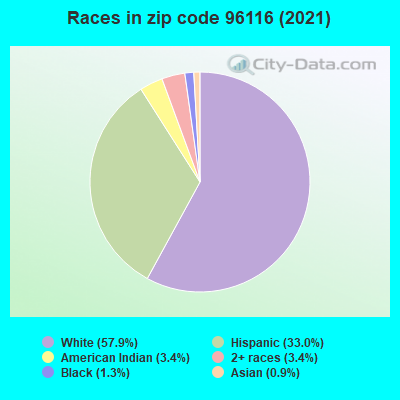 Races in zip code 96116 (2019)