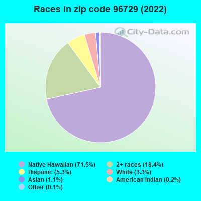 Races in zip code 96729 (2019)
