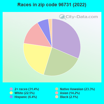 Races in zip code 96731 (2022)