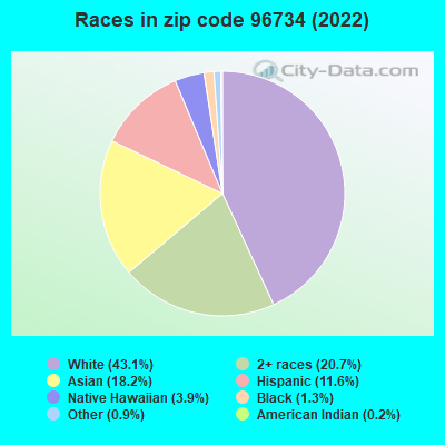 Races in zip code 96734 (2019)