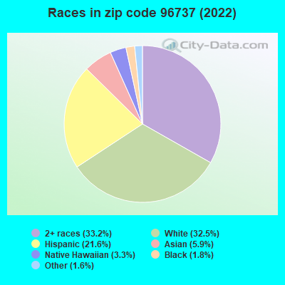 Races in zip code 96737 (2022)