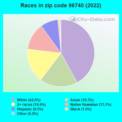 Races in zip code 96740 (2019)