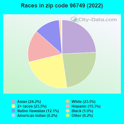 Races in zip code 96749 (2019)
