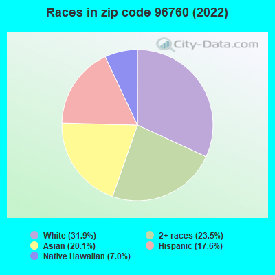 Races in zip code 96760 (2019)