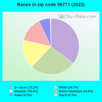 Races in zip code 96771 (2021)