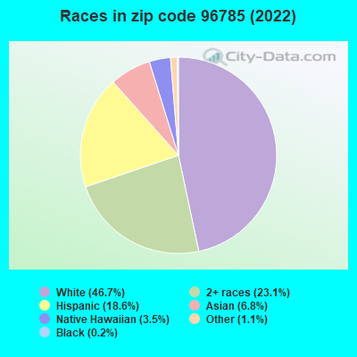 Races in zip code 96785 (2019)