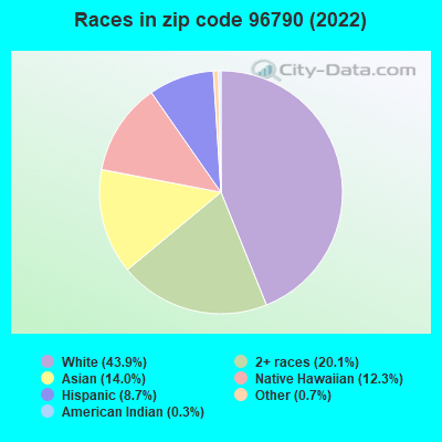 Races in zip code 96790 (2019)