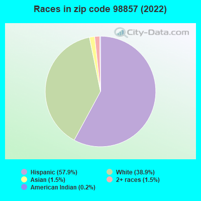 Races in zip code 98857 (2019)