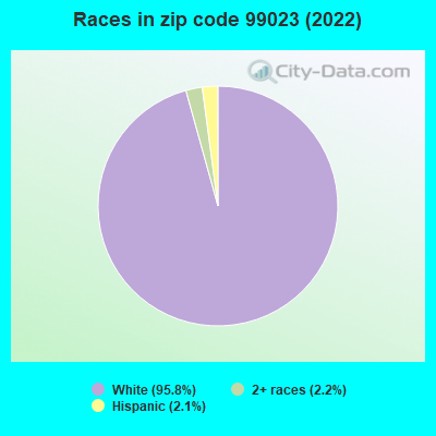 Races in zip code 99023 (2022)