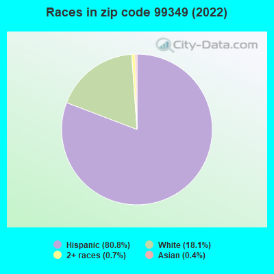 Races in zip code 99349 (2022)