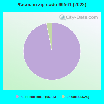 Races in zip code 99561 (2022)