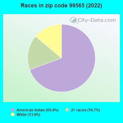 Races in zip code 99565 (2022)