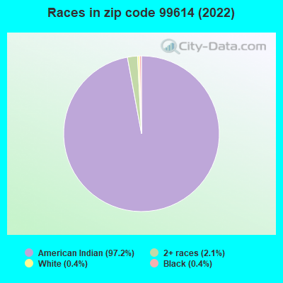 Races in zip code 99614 (2022)