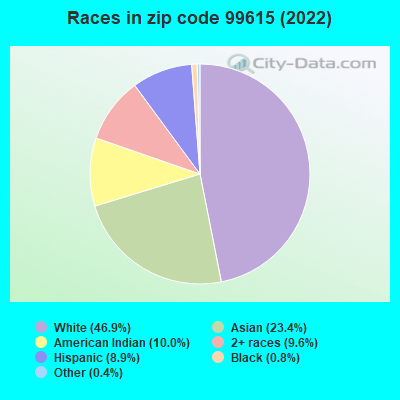 Races in zip code 99615 (2022)