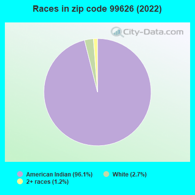 Races in zip code 99626 (2022)
